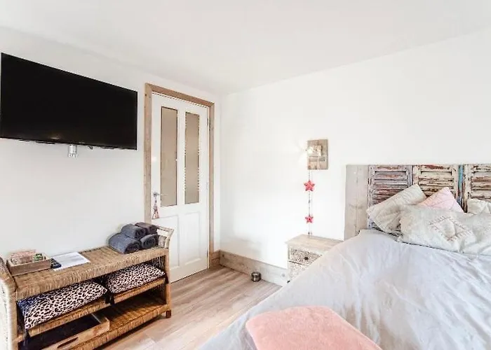 Beachstudio Zandvoort